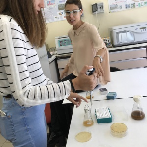 85 students discovered the applications of yeast in labs.